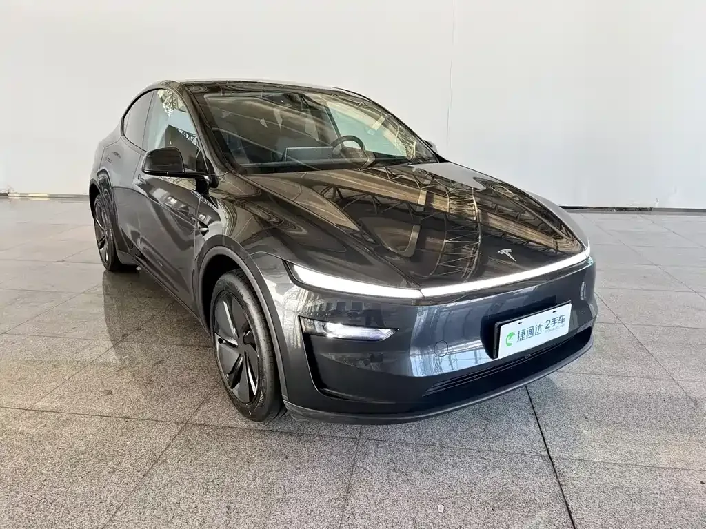 Tesla Model Y — фото 8