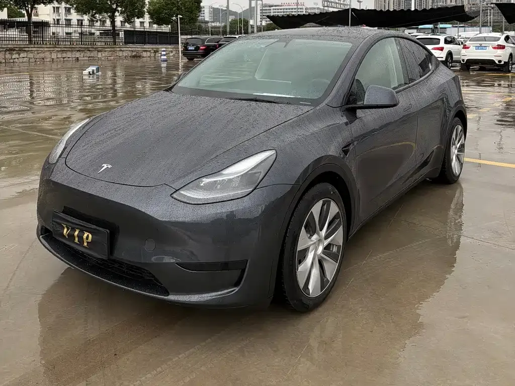 Tesla Model Y — фото 1