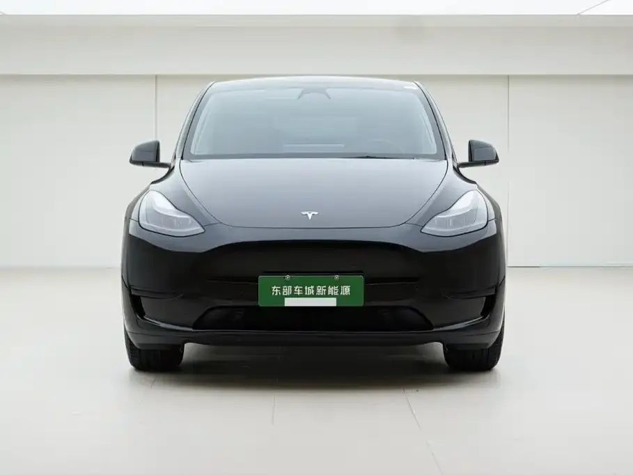 Tesla Model Y — фото 5