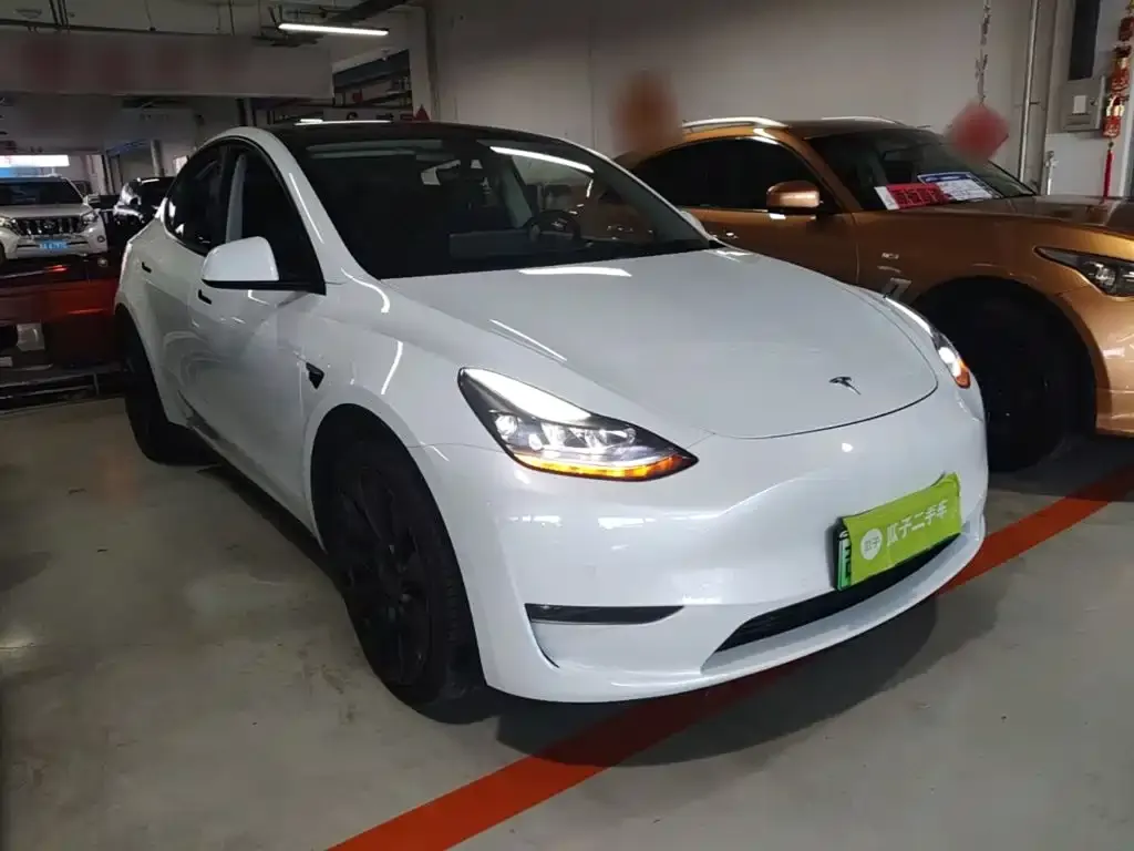 Tesla Model Y — фото 3