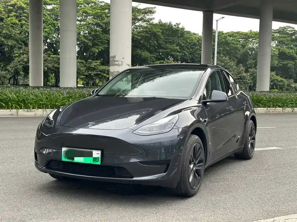 Tesla Model Y — фото 1