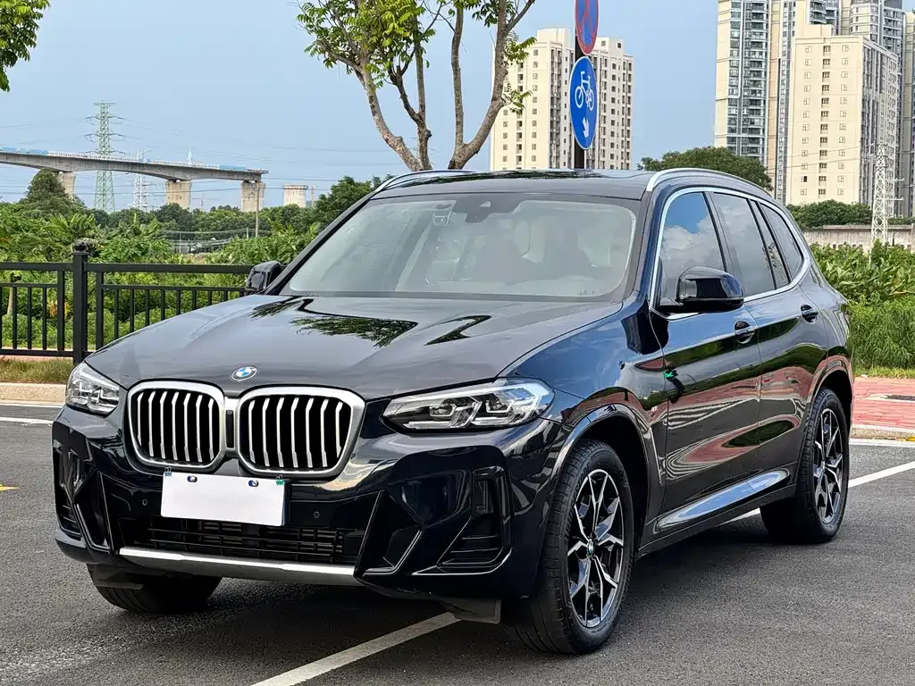 BMW X3 — фото 1