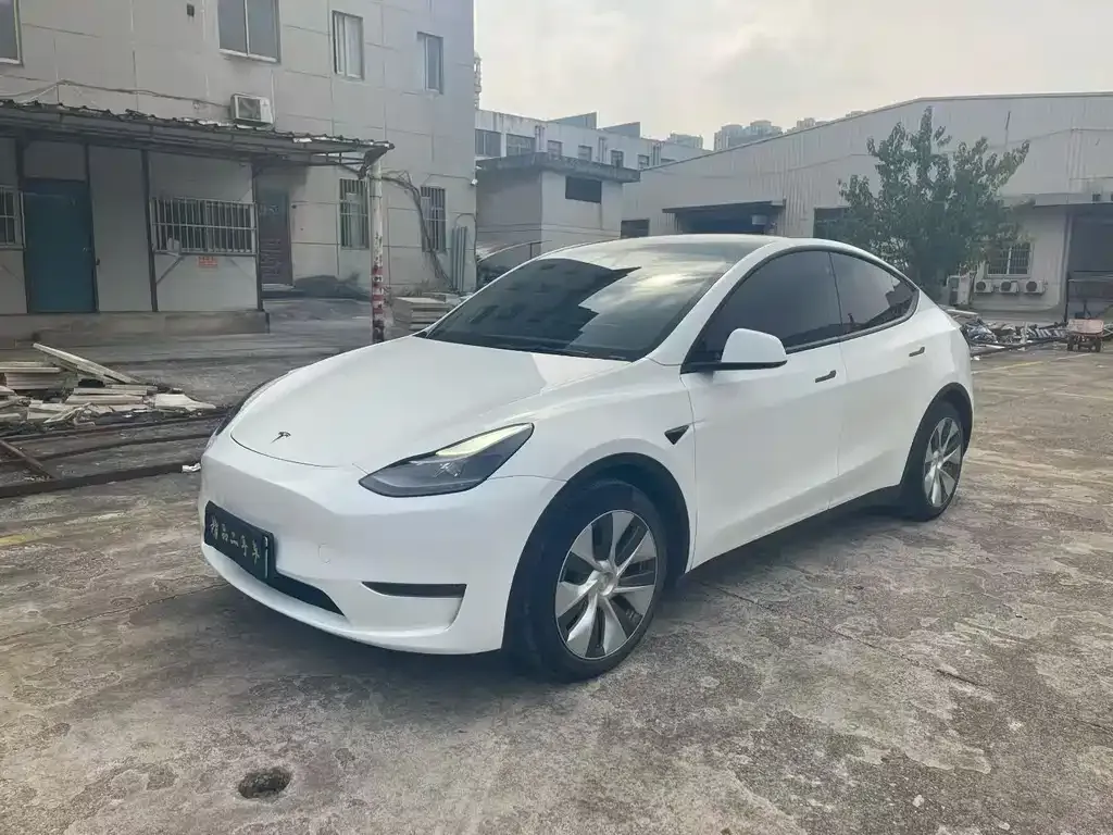 Tesla Model Y — фото 1
