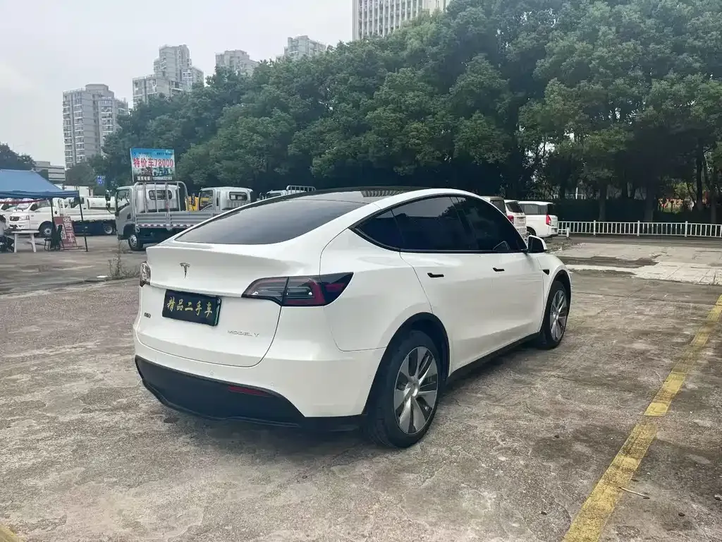 Tesla Model Y — фото 8