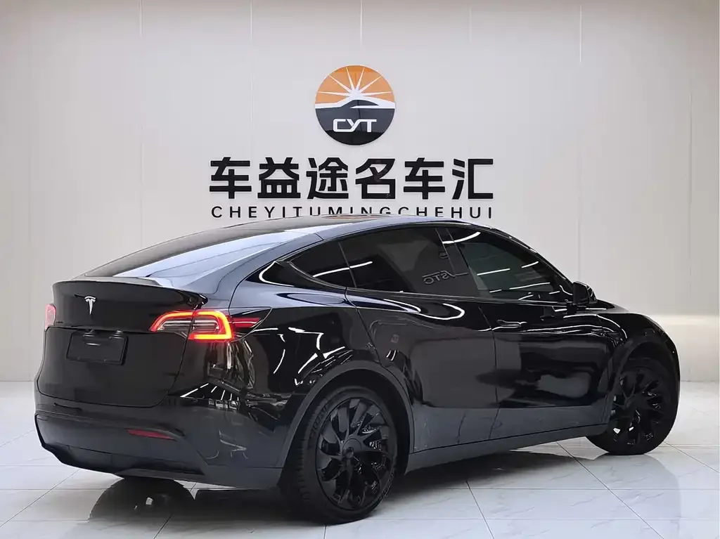 Tesla Model Y — фото 10