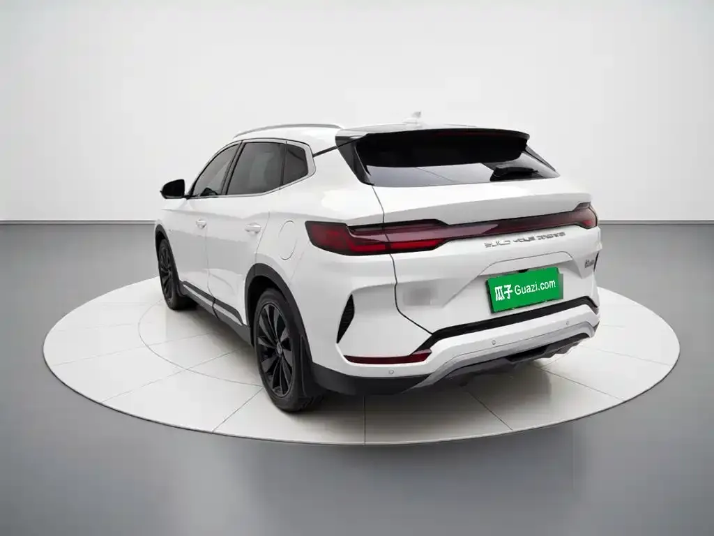 BYD PLUS New Energy — фото 4