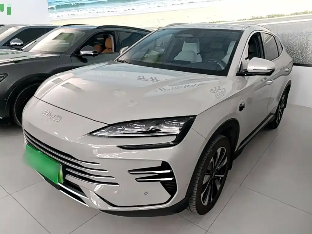 BYD PLUS New Energy — фото 1