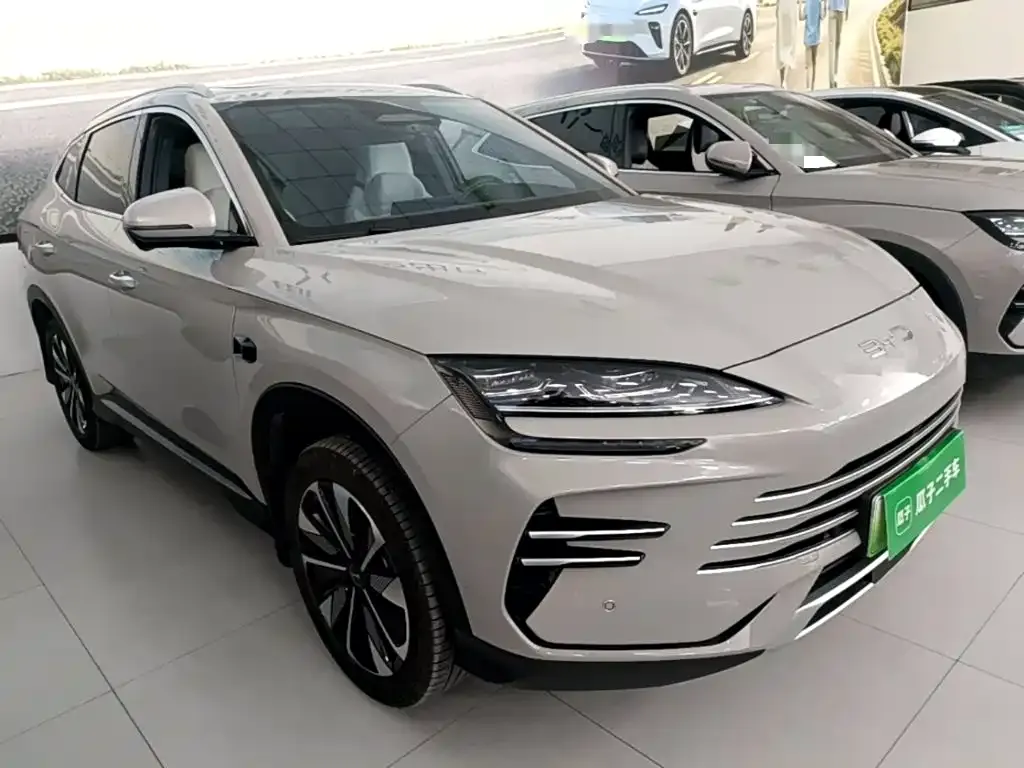 BYD PLUS New Energy — фото 4