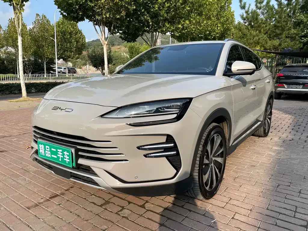 BYD PLUS New Energy — фото 1