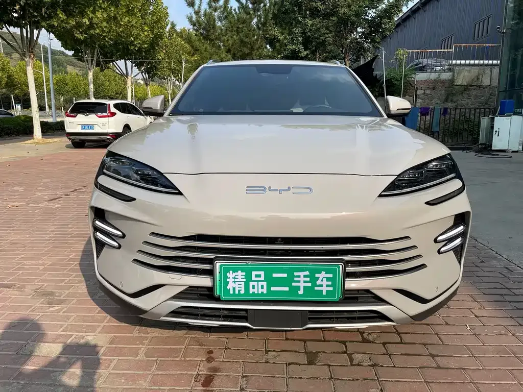 BYD PLUS New Energy — фото 8