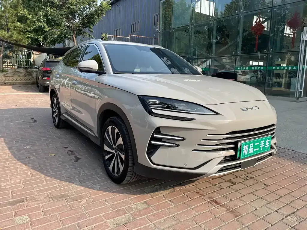 BYD PLUS New Energy — фото 10