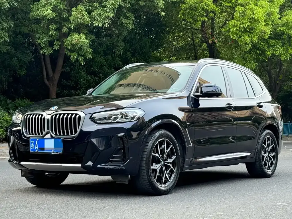 BMW X3 — фото 1