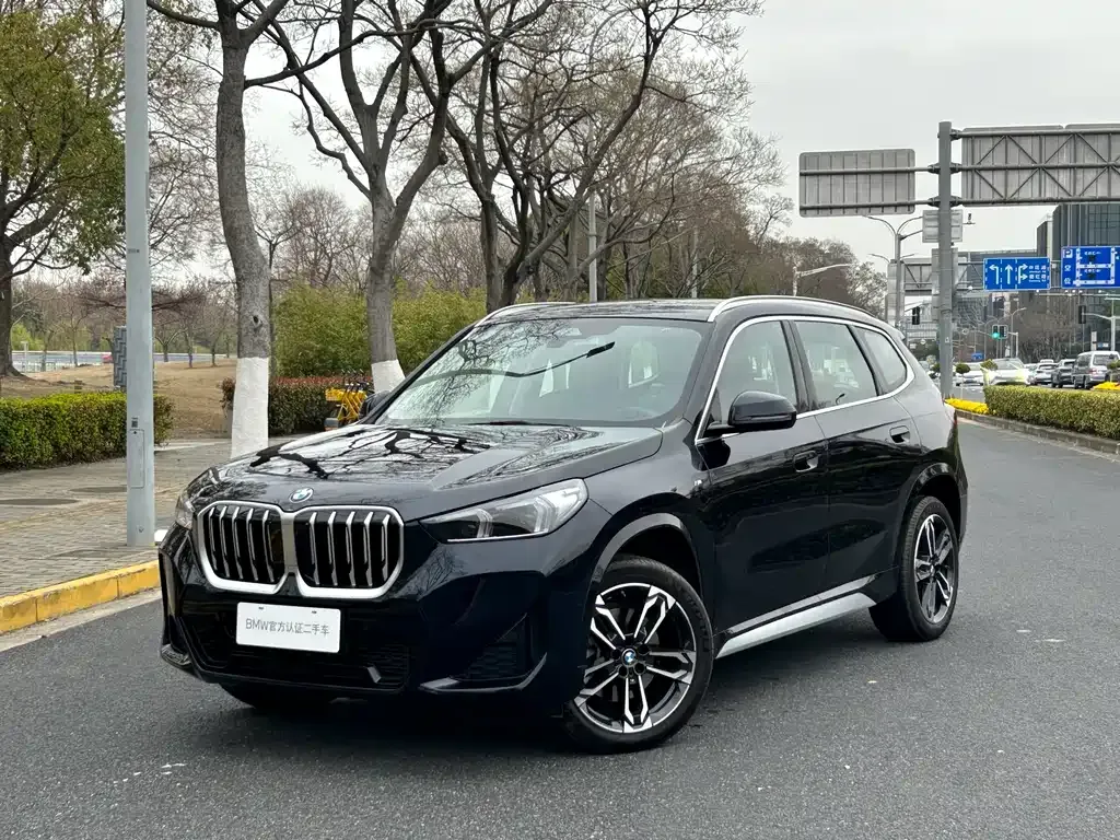 BMW X1 — фото 1