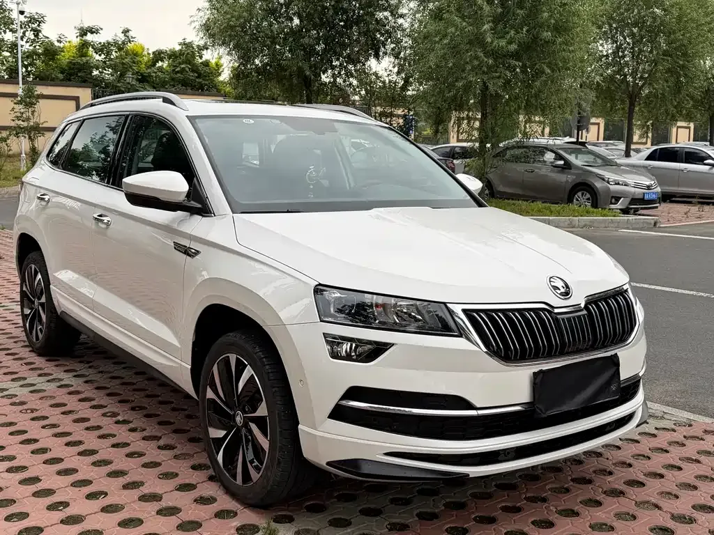 Skoda Karoq — фото 6