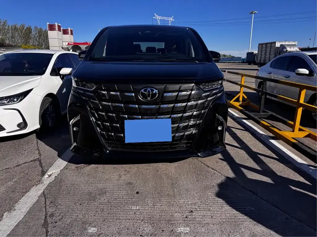 Toyota Alphard — фото 6