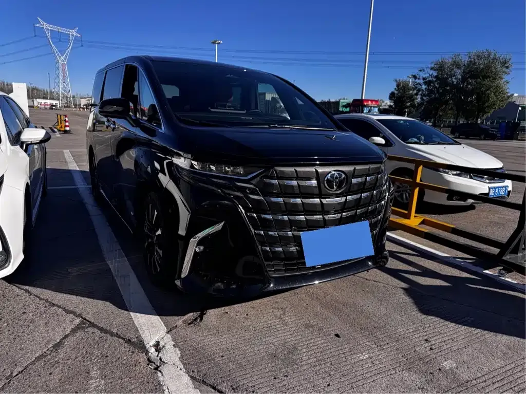 Toyota Alphard — фото 10