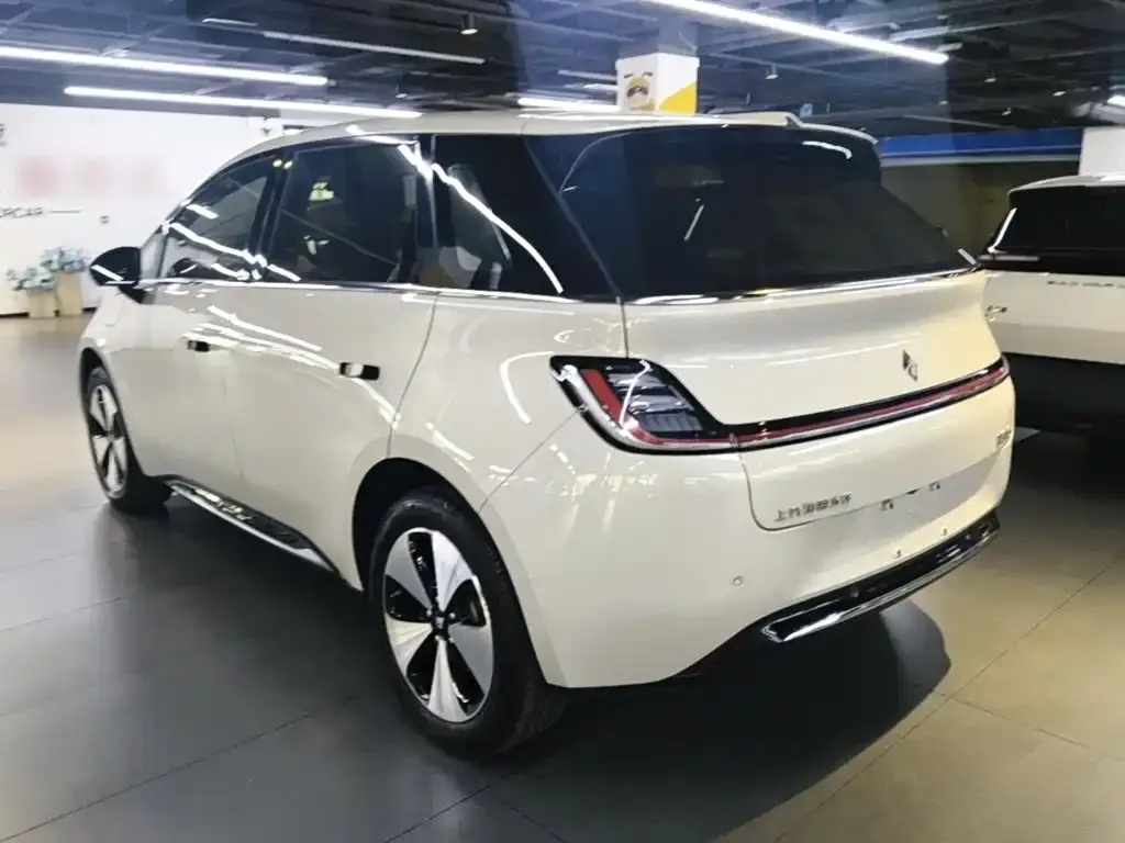 Baojun Yunduo — фото 8