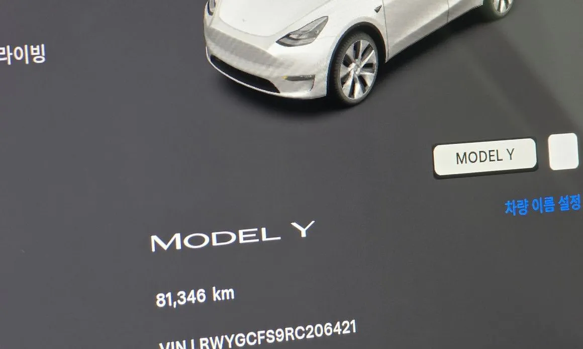 Tesla Model Y — фото 3