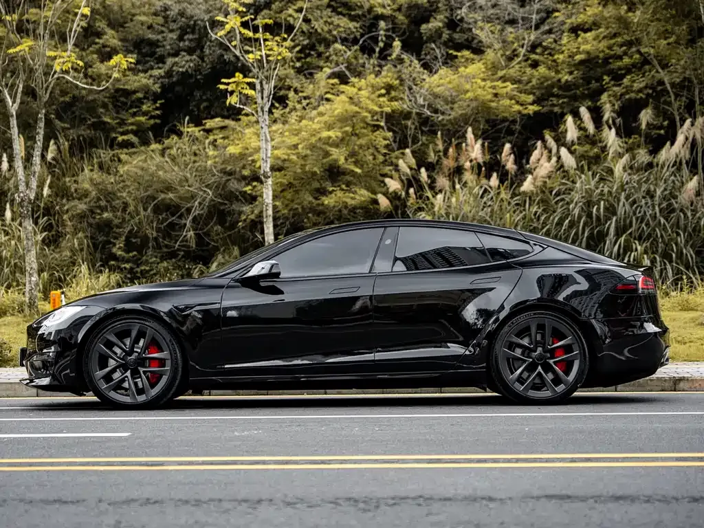 Tesla Model S — фото 10