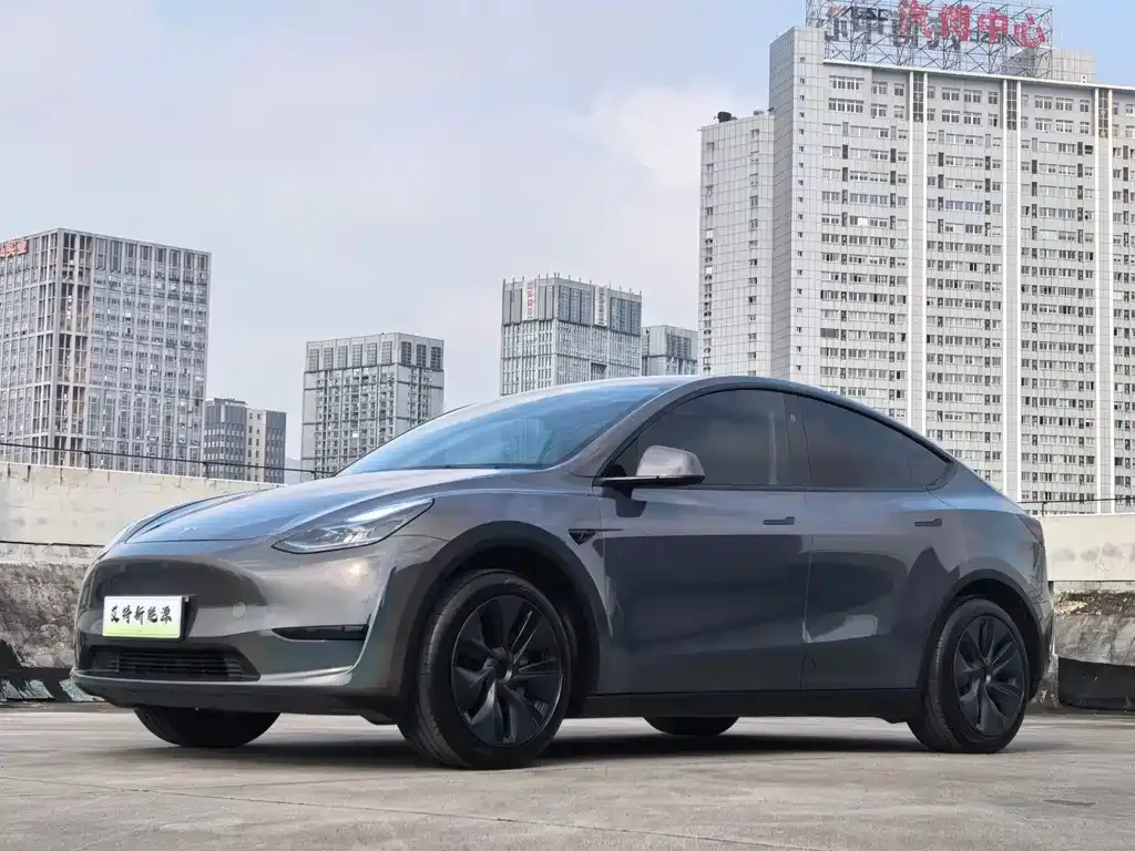 Tesla Model Y — фото 1