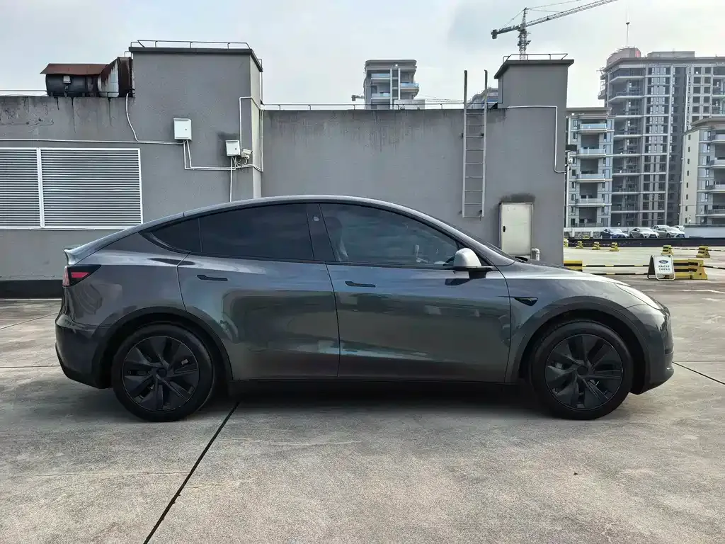 Tesla Model Y — фото 3