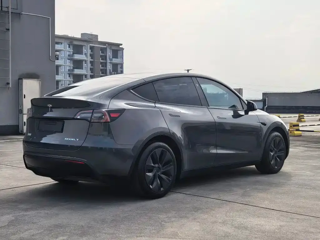 Tesla Model Y — фото 8