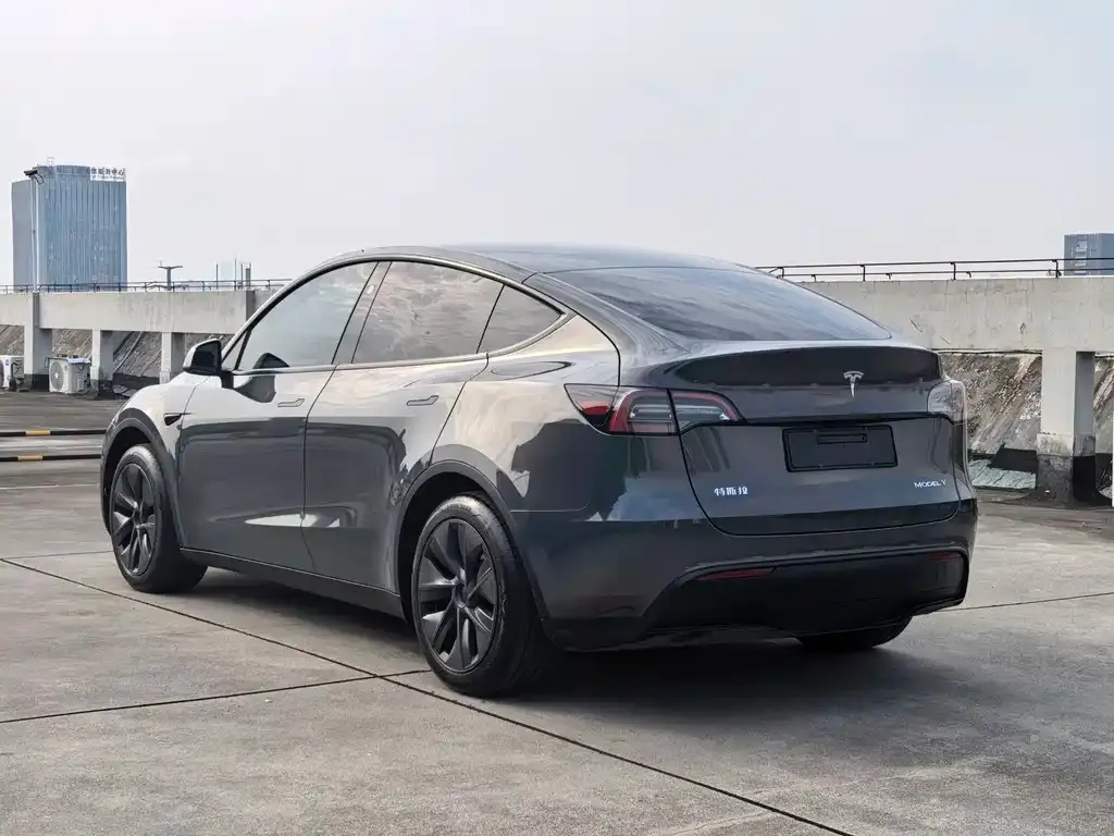 Tesla Model Y — фото 5