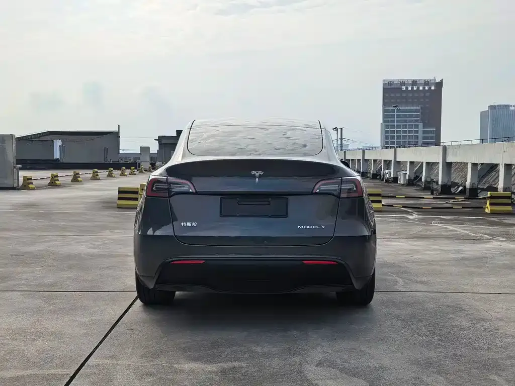 Tesla Model Y — фото 7