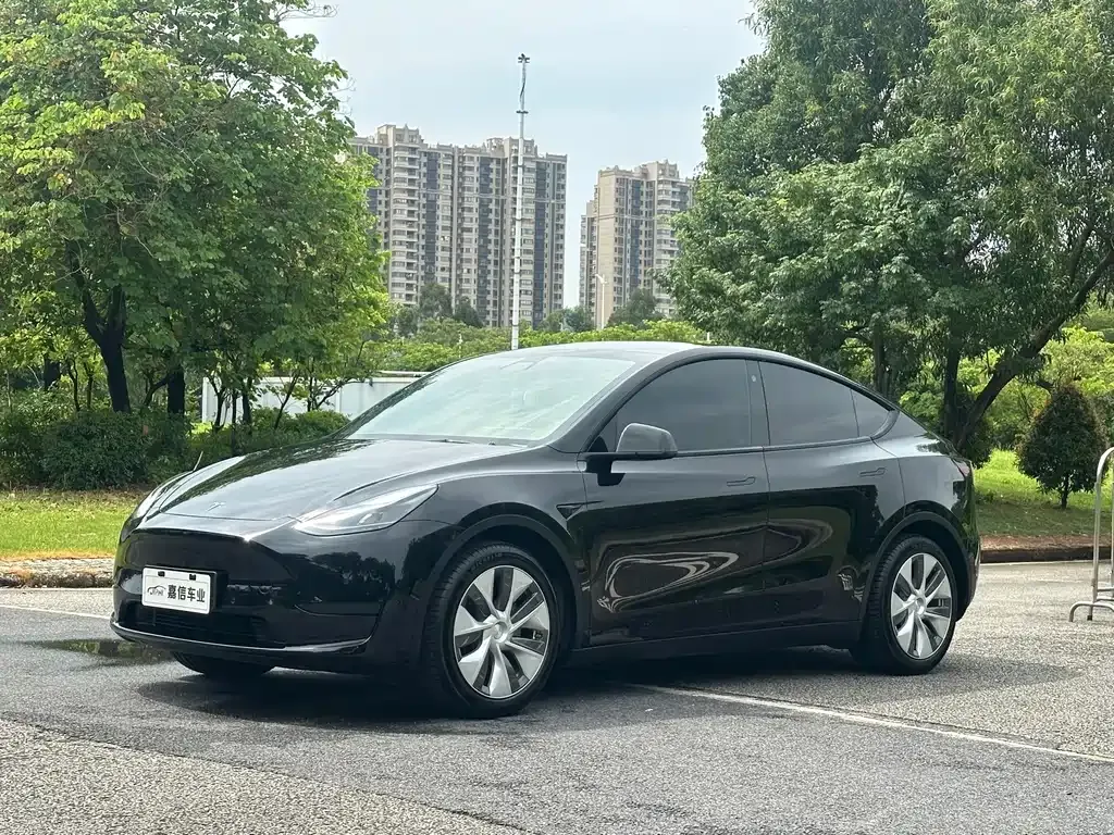 Tesla Model Y — фото 1