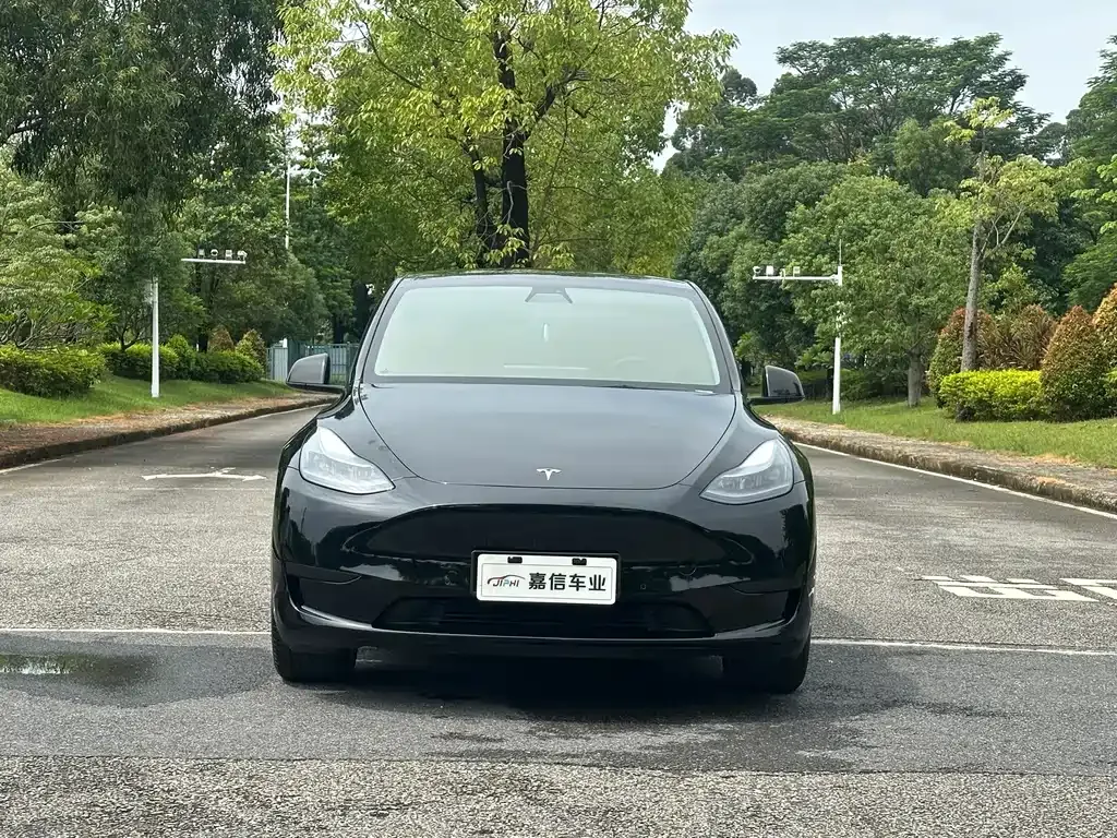 Tesla Model Y — фото 8