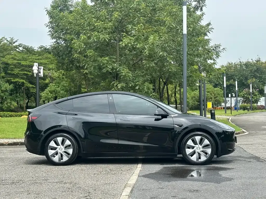 Tesla Model Y — фото 5