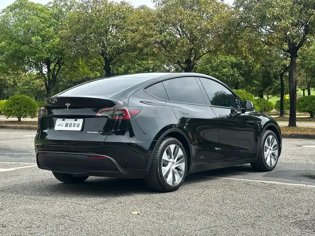 Tesla Model Y — фото 4