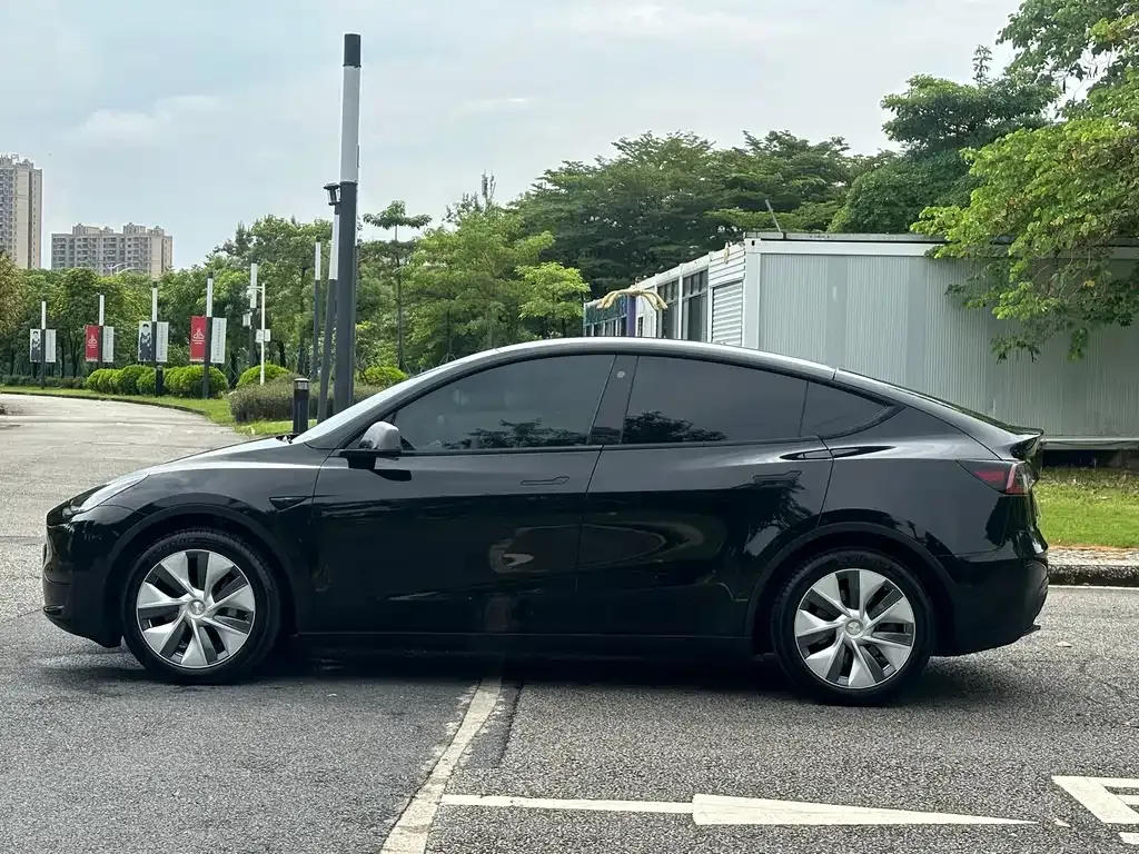 Tesla Model Y — фото 9