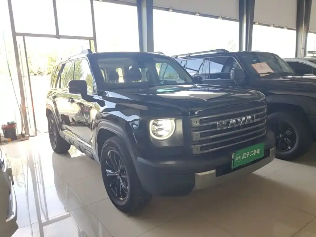 Haval Menglong New Energy — фото 10