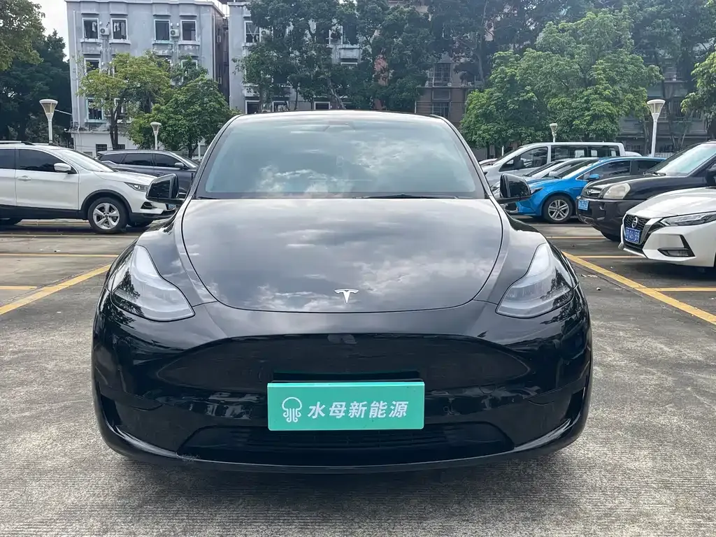 Tesla Model Y — фото 7
