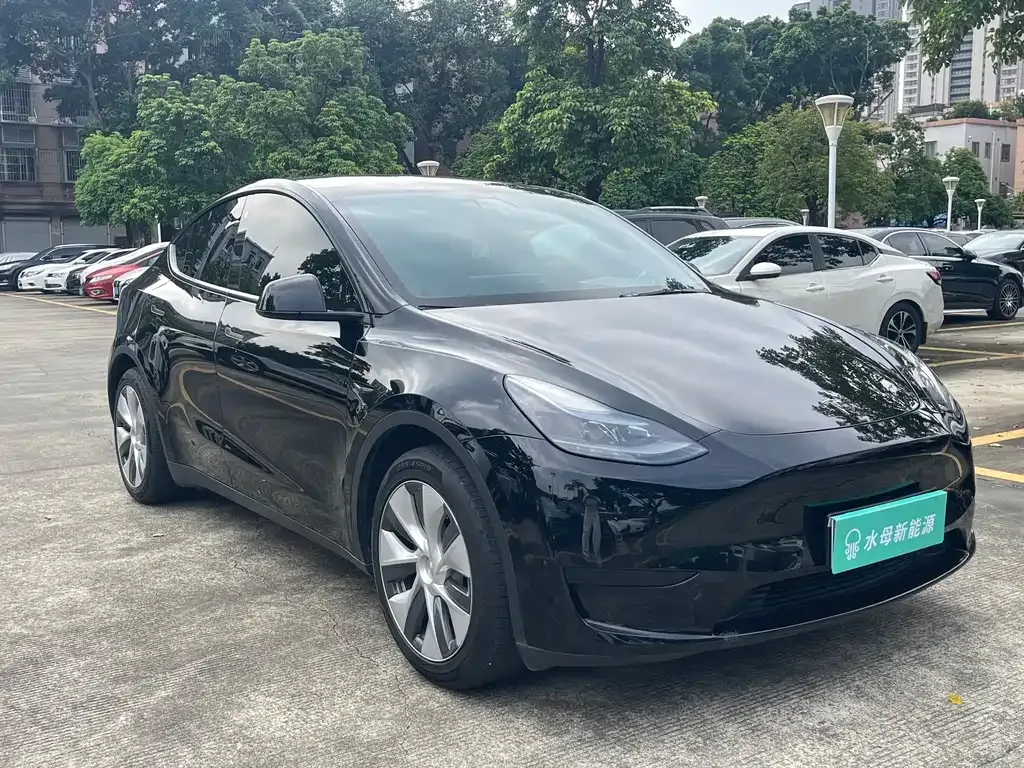 Tesla Model Y — фото 8