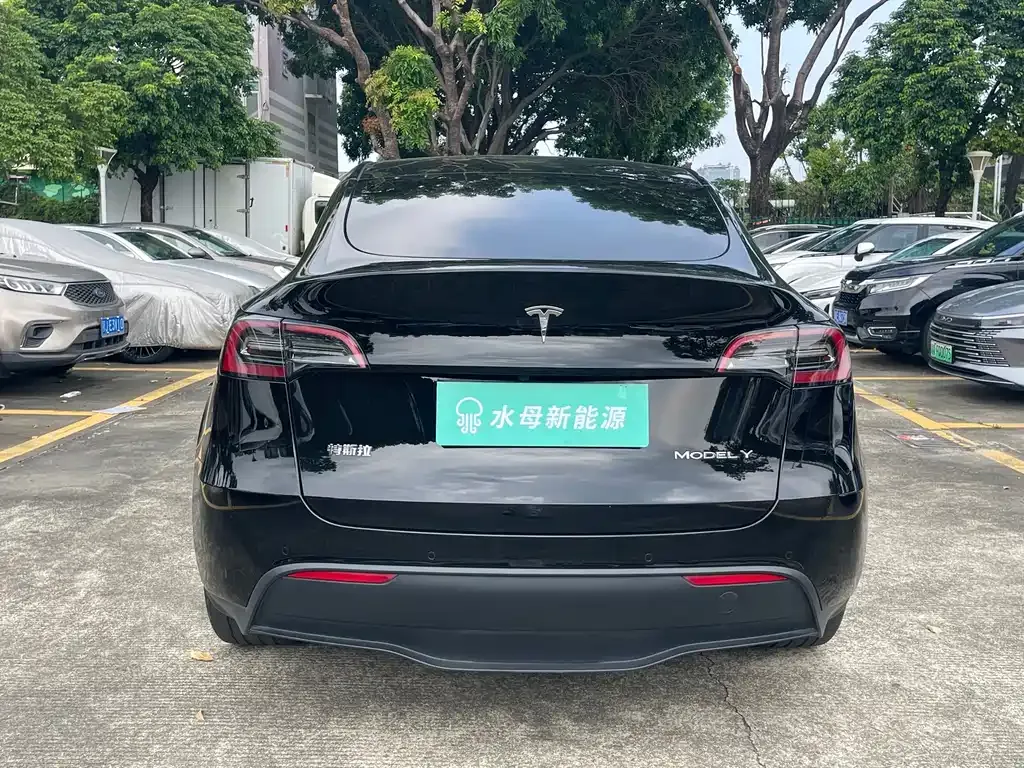 Tesla Model Y — фото 10