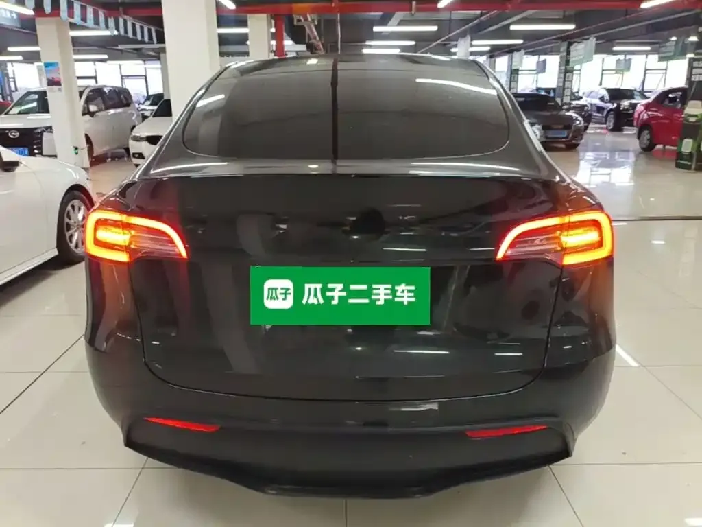 Tesla Model Y — фото 8