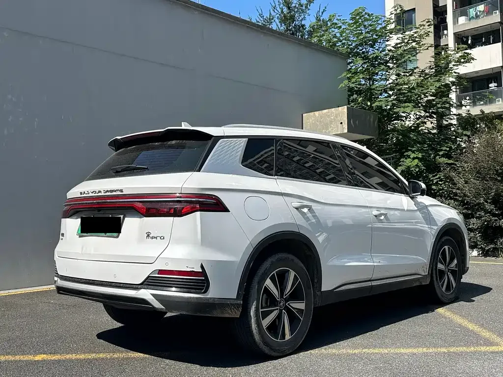 BYD Pro New Energy — фото 8