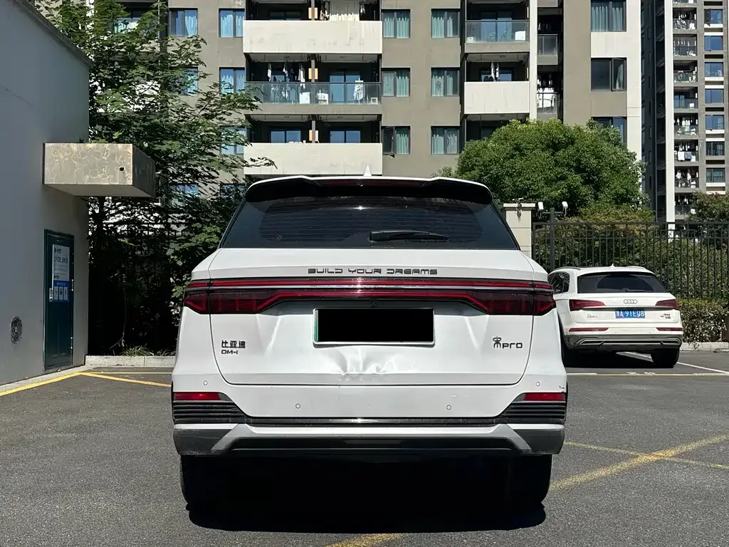 BYD Pro New Energy — фото 4