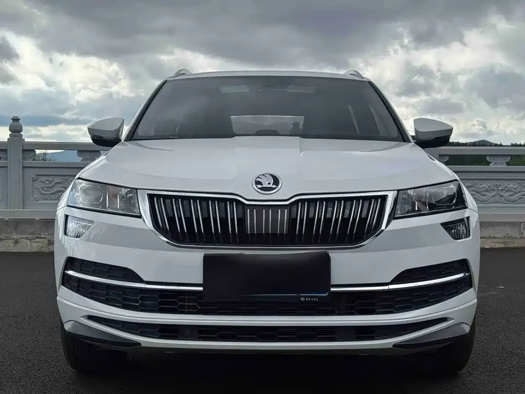 Skoda Karoq — фото 3