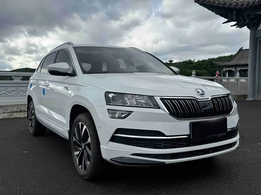 Skoda Karoq — фото 6