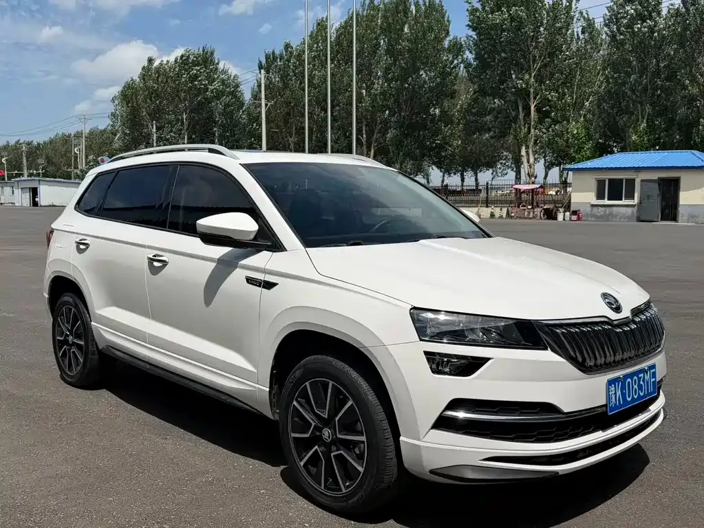 Skoda Karoq — фото 10