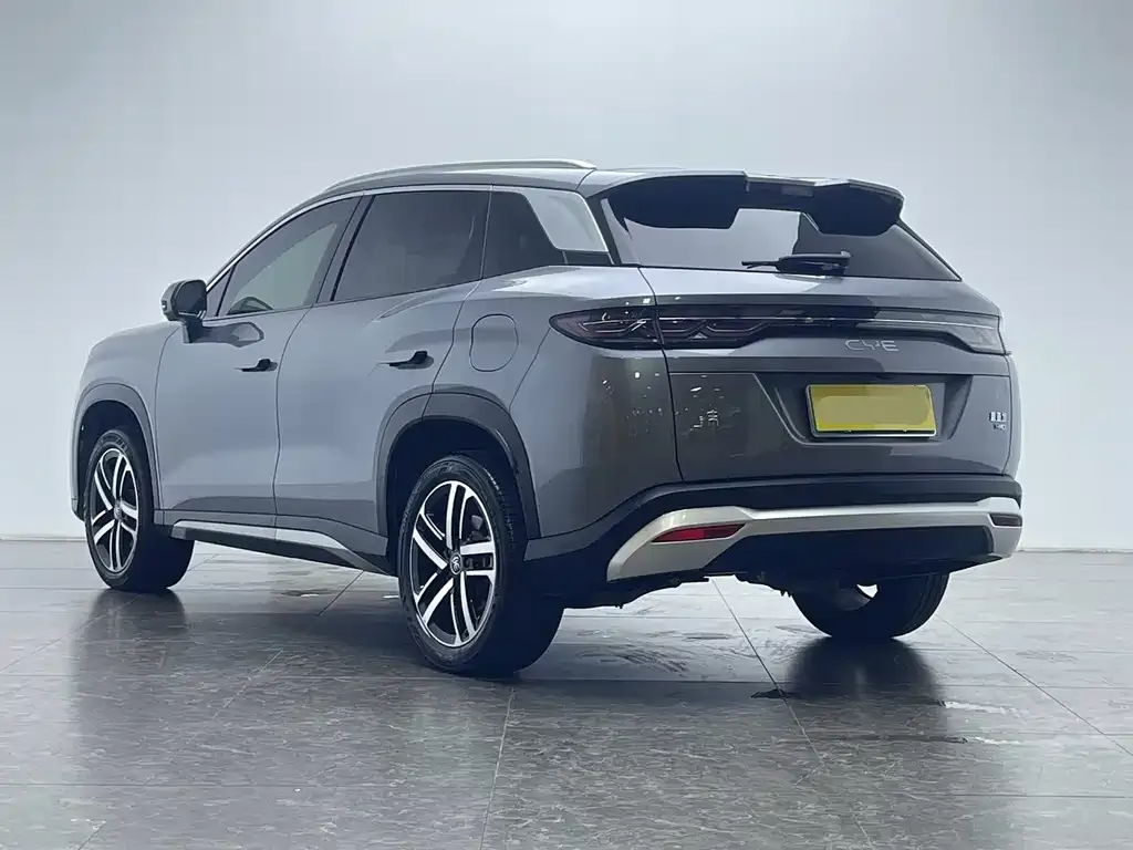 BYD L DM-i — фото 6