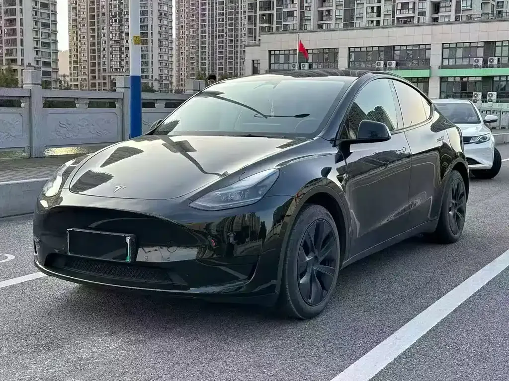 Tesla Model Y — фото 1