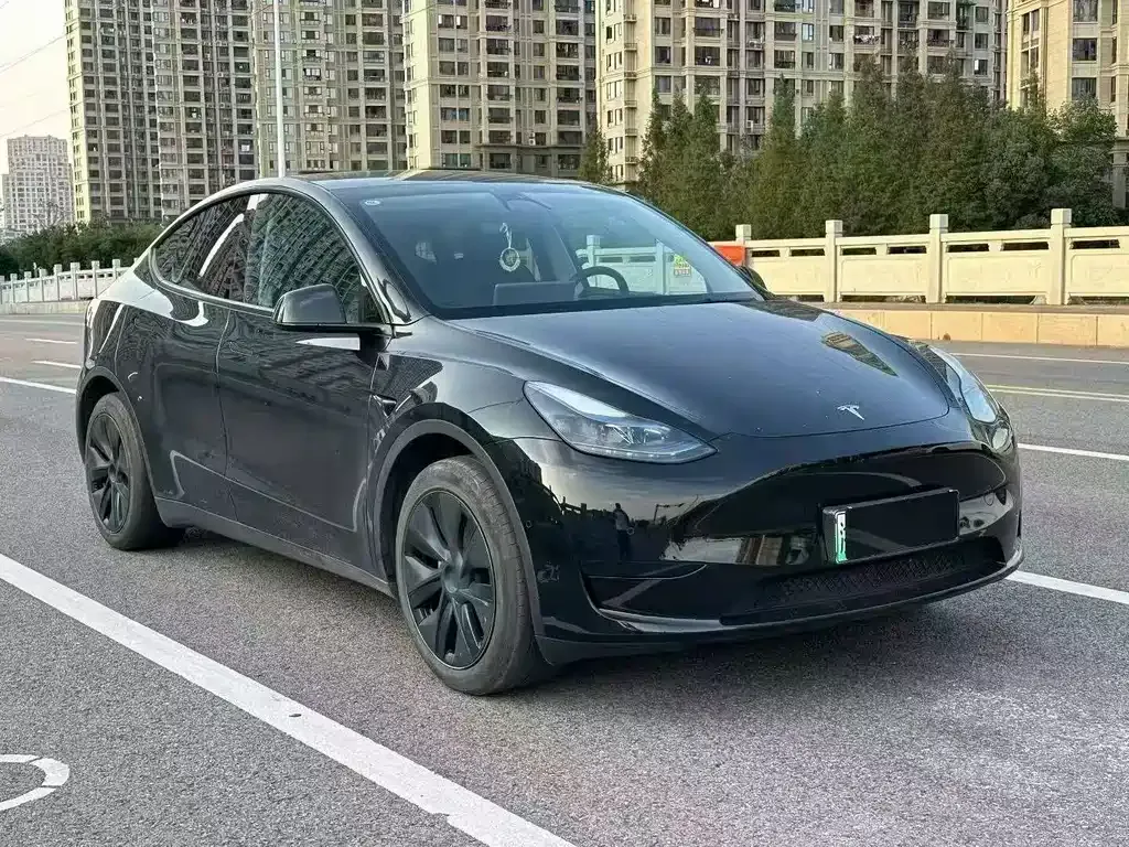 Tesla Model Y — фото 8