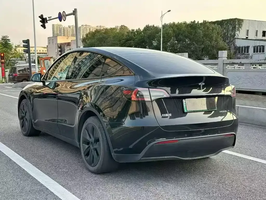 Tesla Model Y — фото 2