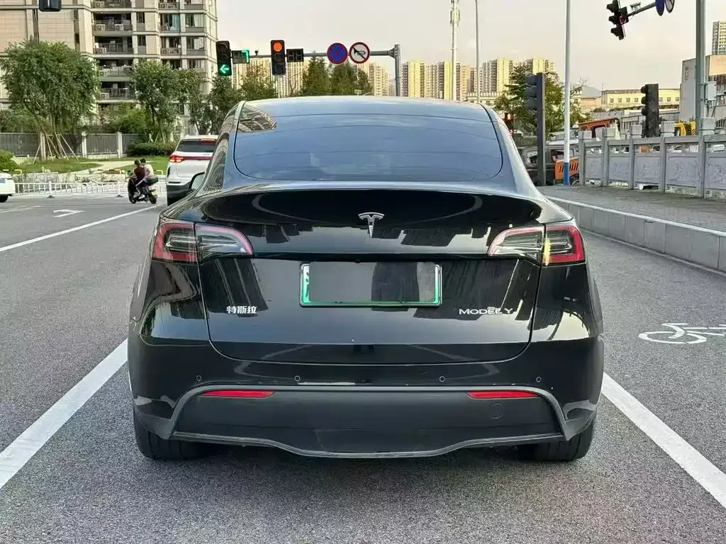 Tesla Model Y — фото 9