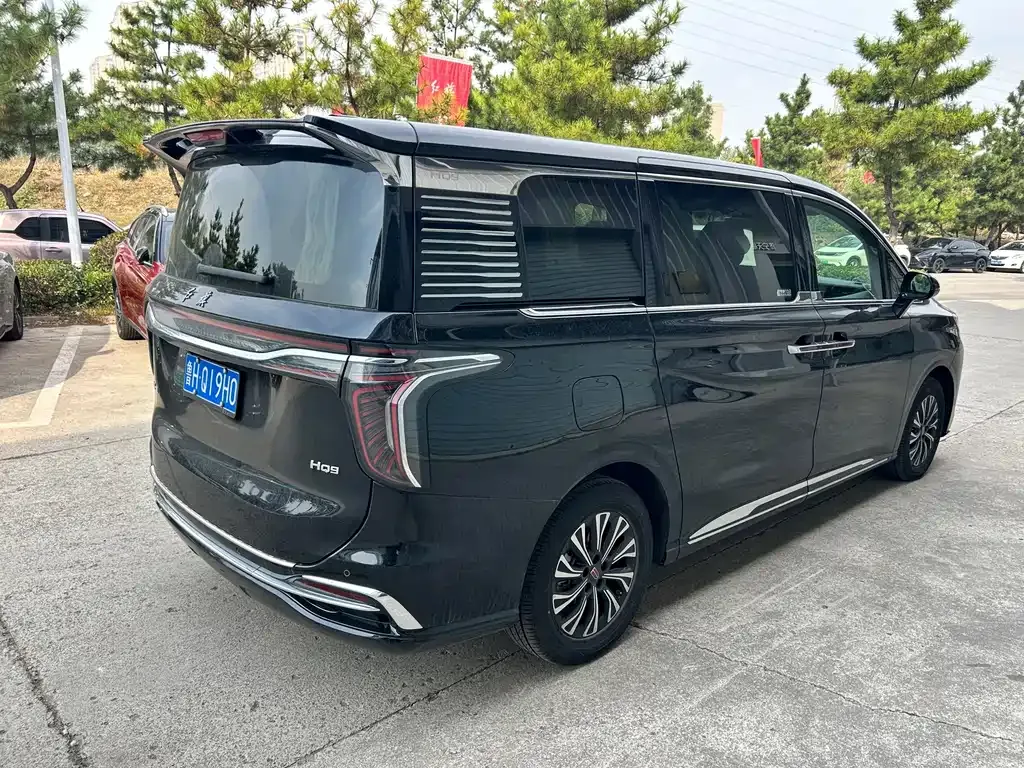 Hongqi HQ9 — фото 10
