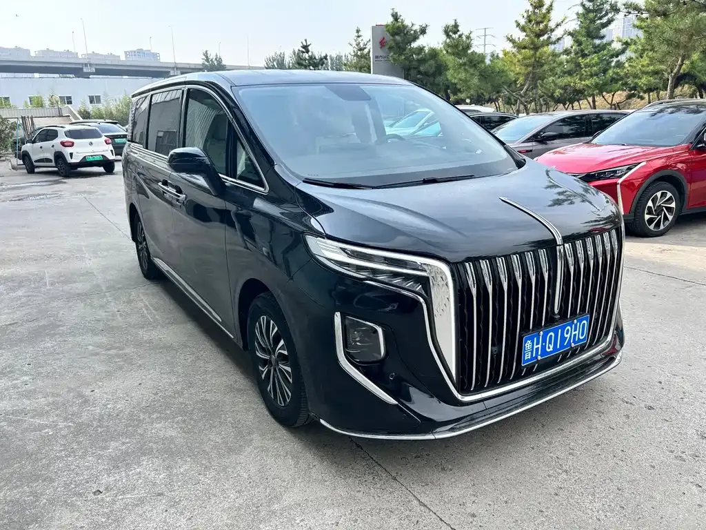 Hongqi HQ9 — фото 9